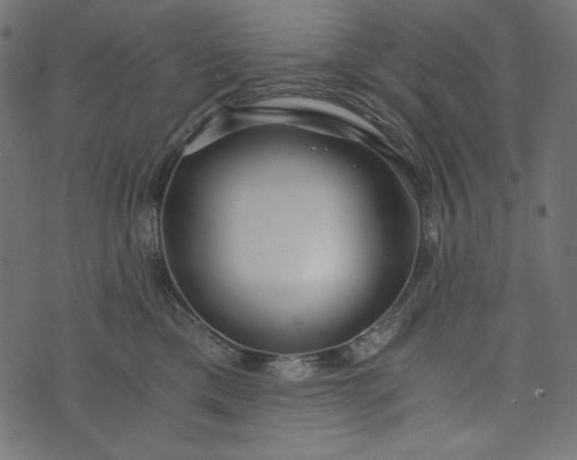 X0000073700425200608171118