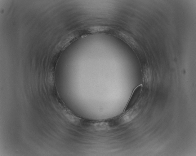 X0000073700426200608171118