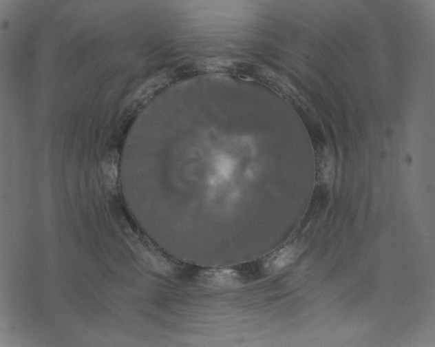 X0000073700427200608171118