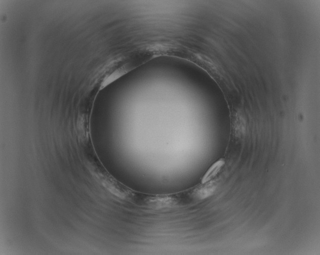 X0000073700428200608171118