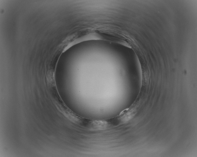 X0000073700429200608171118