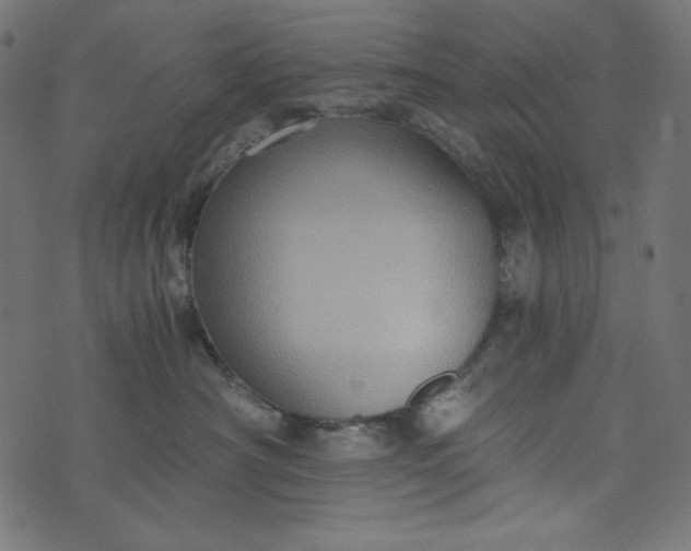 X0000073700430200608171118