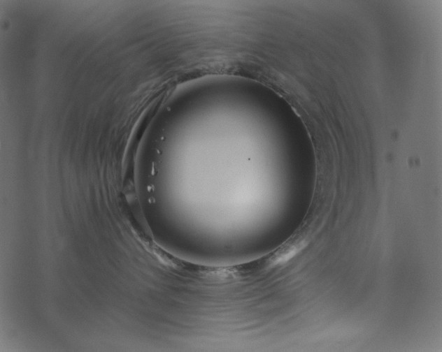 X0000073700432200608171118