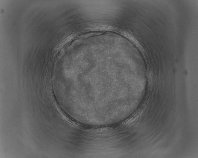 X0000073700433200608171117