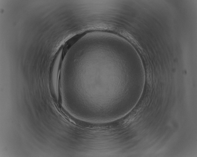 X0000073700434200608171117