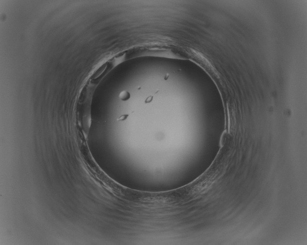 X0000073700435200608171117