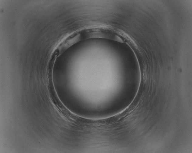 X0000073700436200608171117