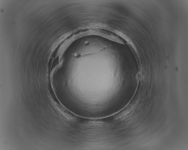 X0000073700437200608171117