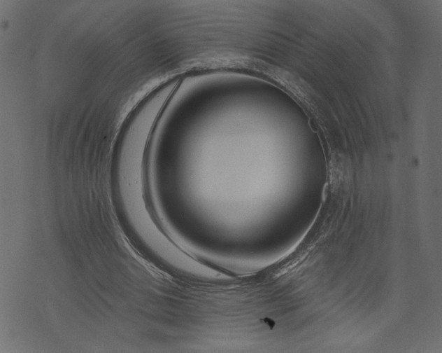 X0000073700438200608171117