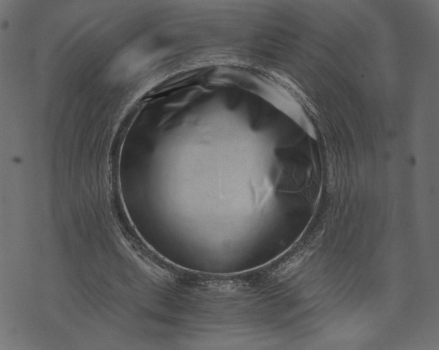 X0000073700439200608171117