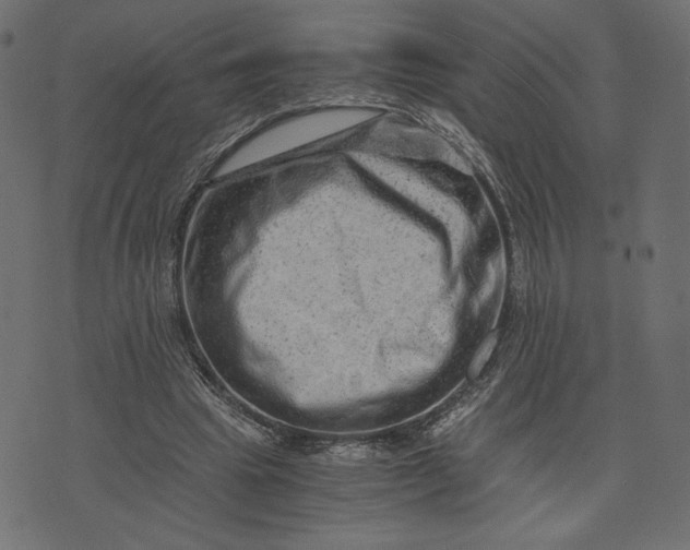 X0000073700441200608171117