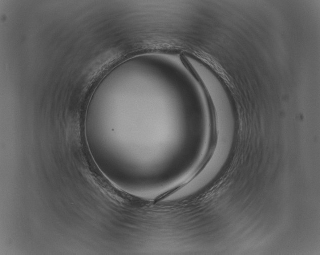 X0000073700442200608171117