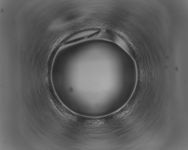 X0000073700443200608171117