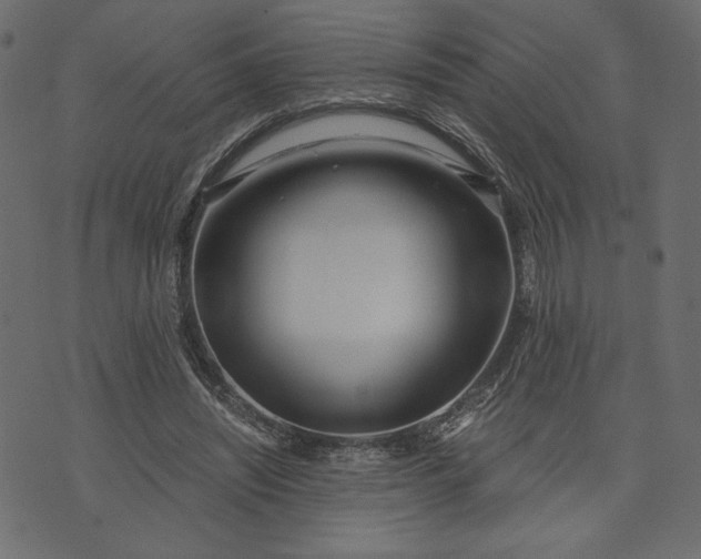 X0000073700444200608171117