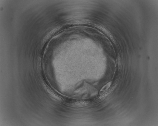 X0000073700445200608171117