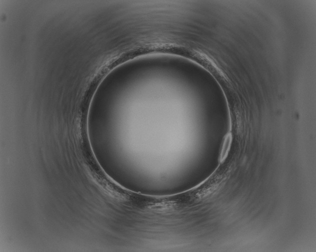 X0000073700447200608171117