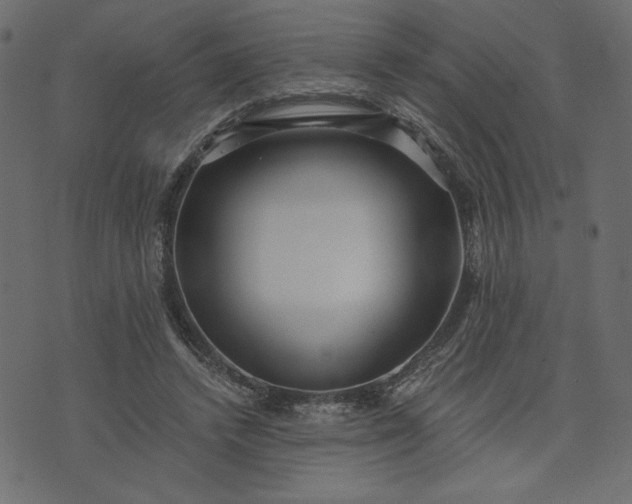 X0000073700448200608171117