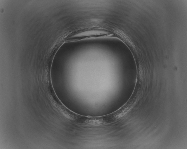 X0000073700449200608171117