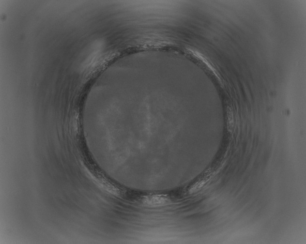 X0000073700451200608171117