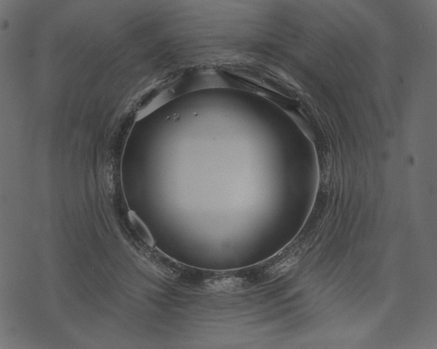 X0000073700452200608171117