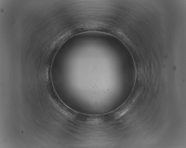 X0000073700454200608171117