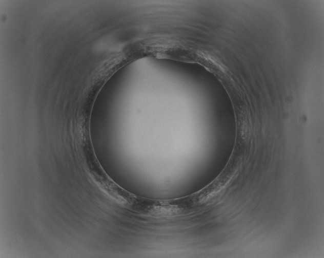 X0000073700455200608171117