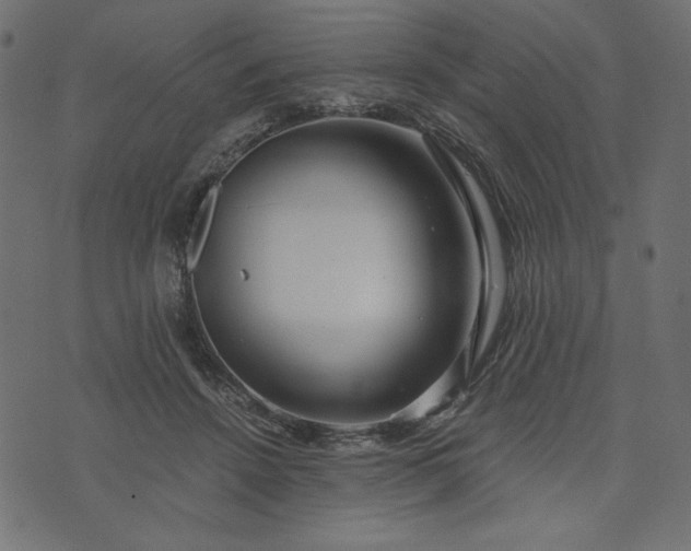 X0000073700456200608171117