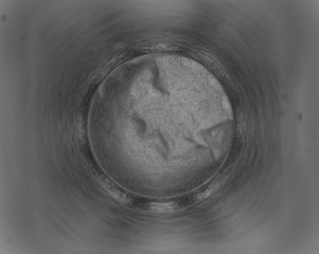 X0000073700457200608171117