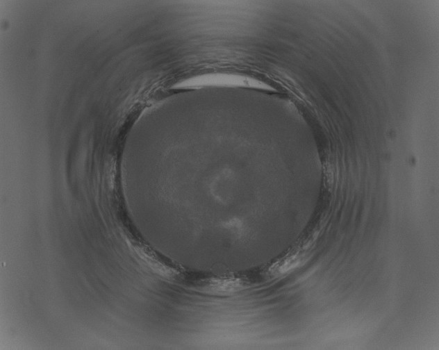 X0000073700458200608171117