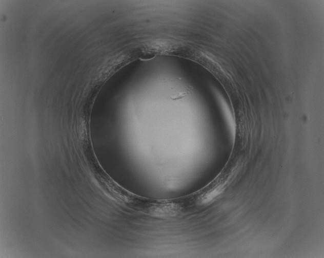 X0000073700459200608171117