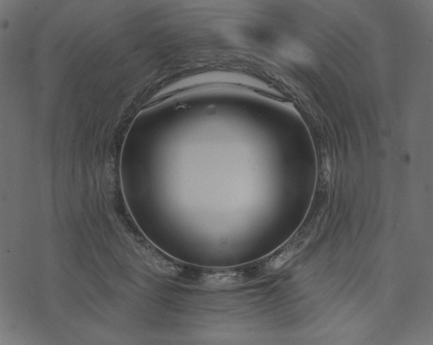 X0000073700461200608171117