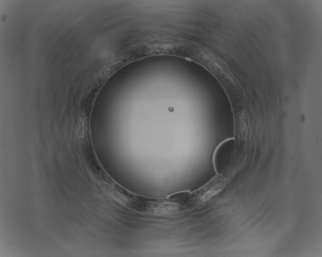 X0000073700463200608171117