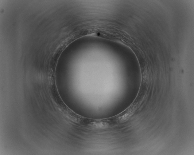 X0000073700464200608171117