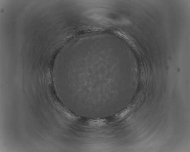 X0000073700465200608171117