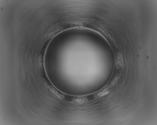 X0000073700466200608171117