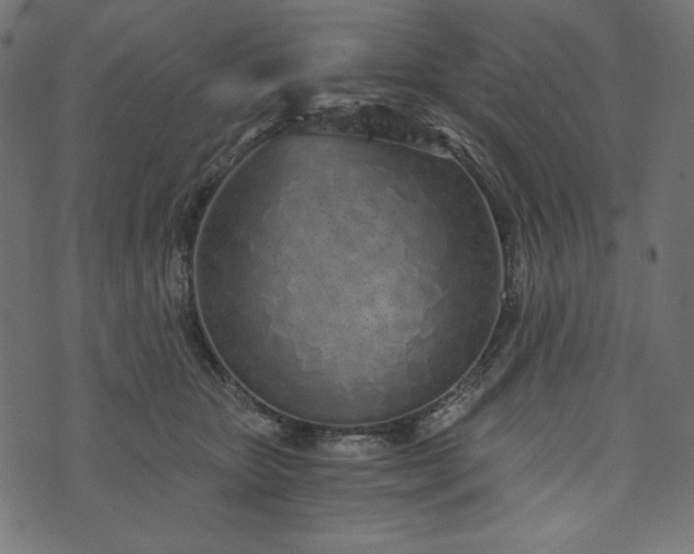 X0000073700467200608171117