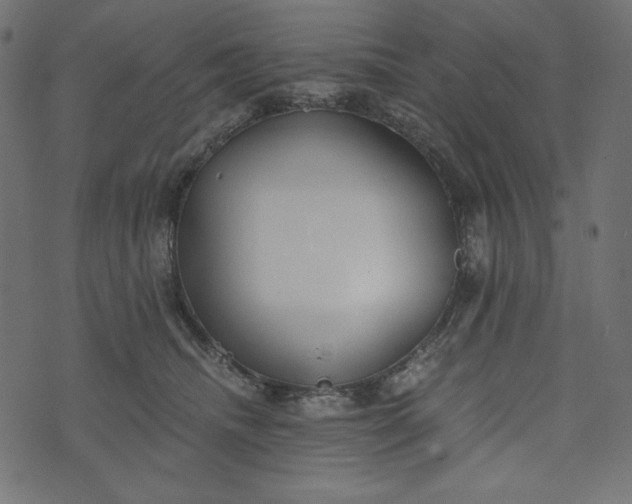 X0000073700468200608171117