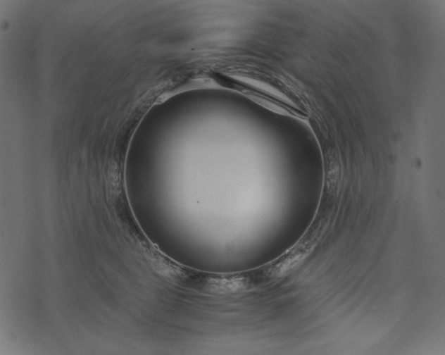 X0000073700469200608171117