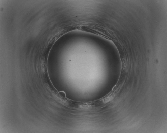 X0000073700470200608171117