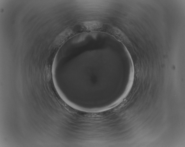 X0000073700471200608171117