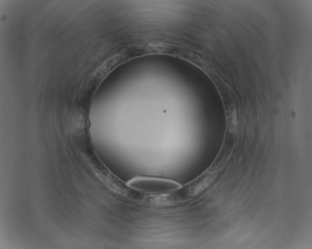 X0000073700472200608171117