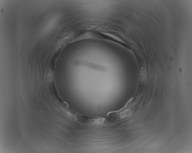 X0000073700474200608171117