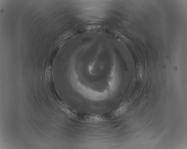 X0000073700475200608171117