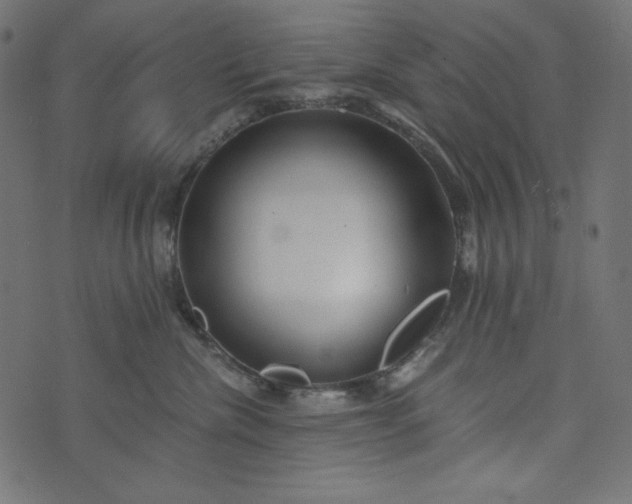 X0000073700476200608171117