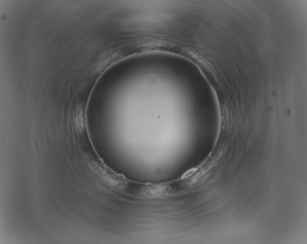 X0000073700479200608171118