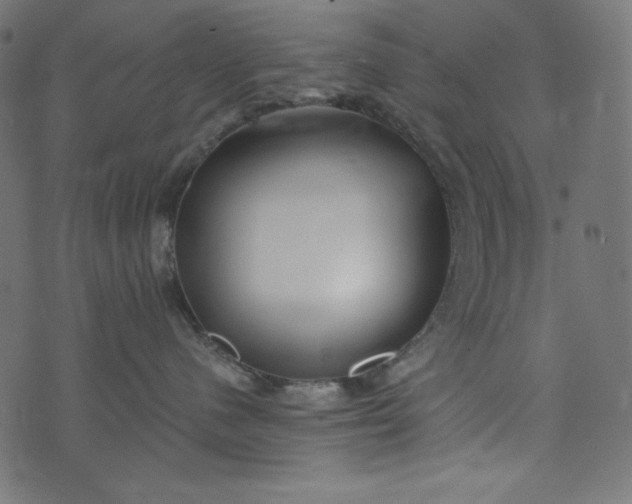 X0000073700480200608171118