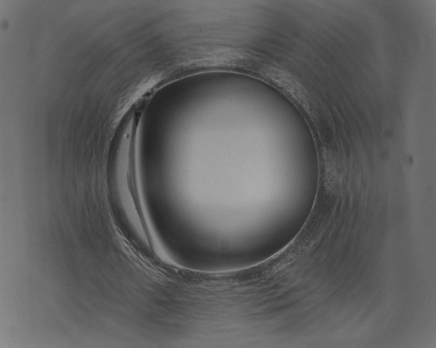 X0000073700482200608171117