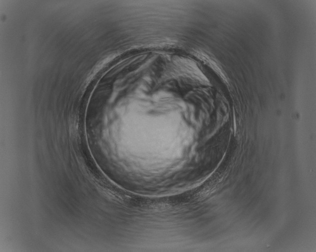 X0000073700483200608171117