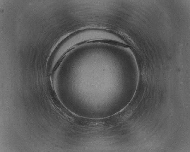 X0000073700484200608171117