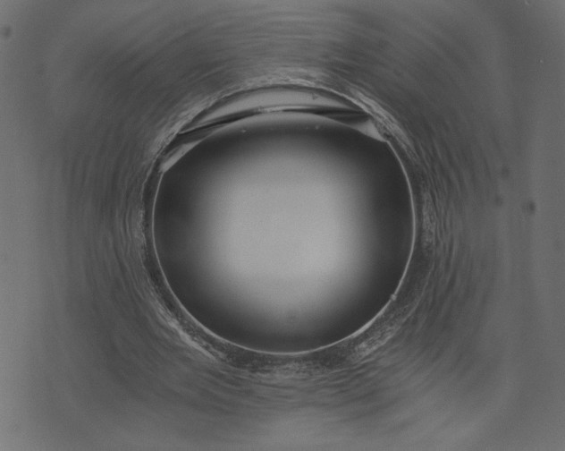 X0000073700485200608171117